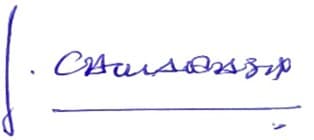 Firma de Juan José Camarasa Casterá